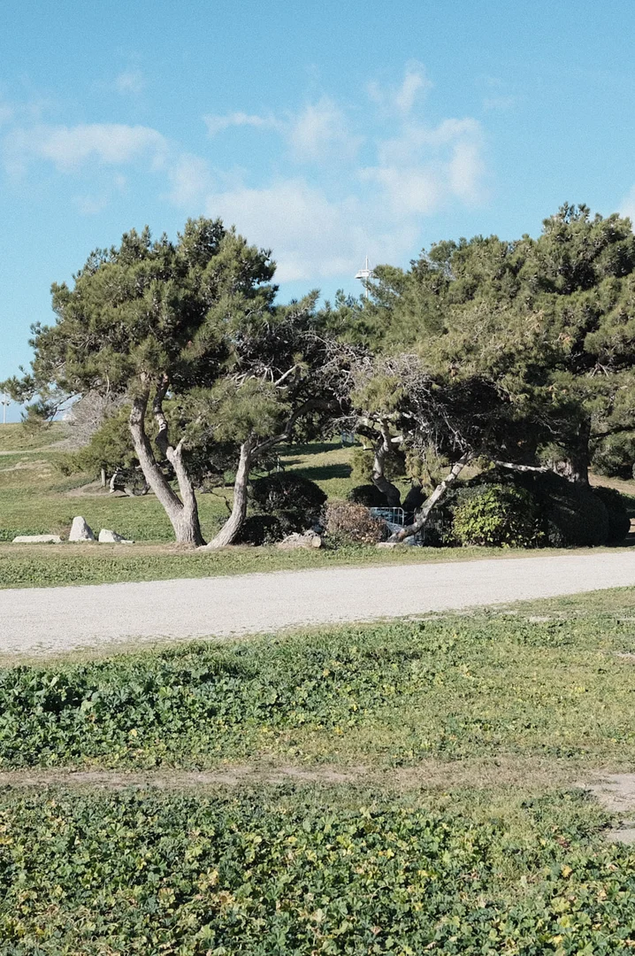 Géo-photographies La Plage 11