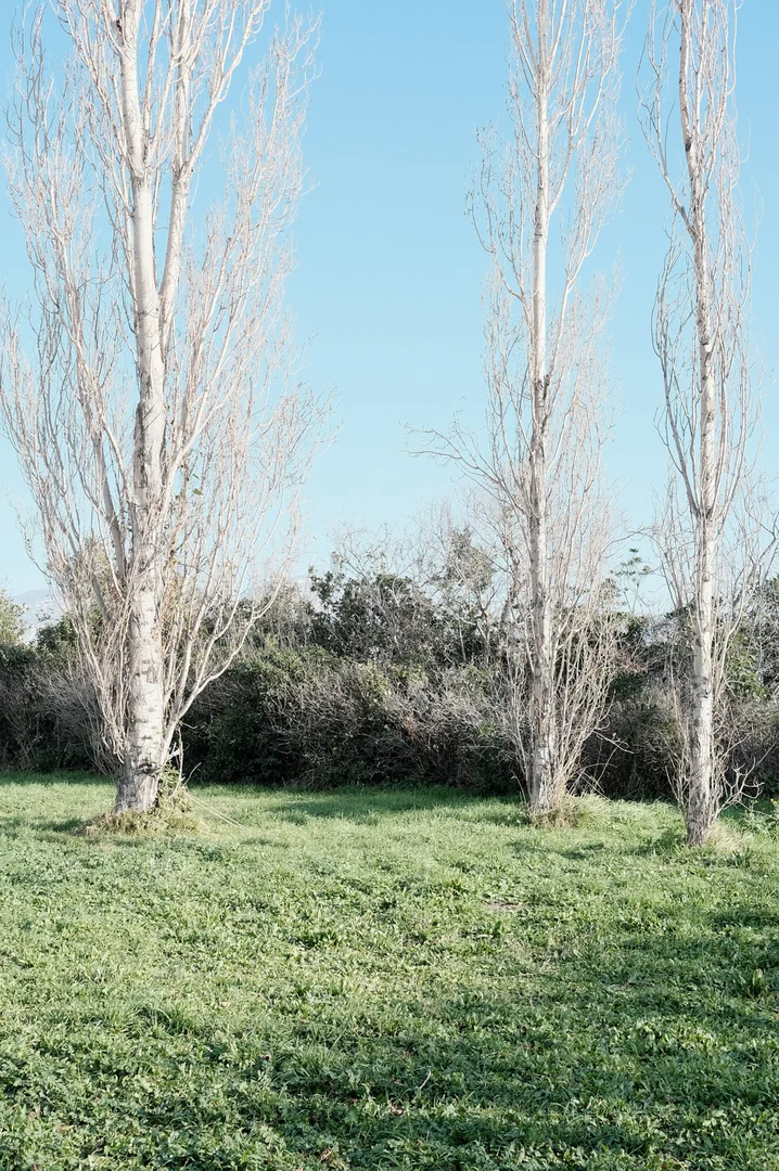 Géo-photographies La Plage 36